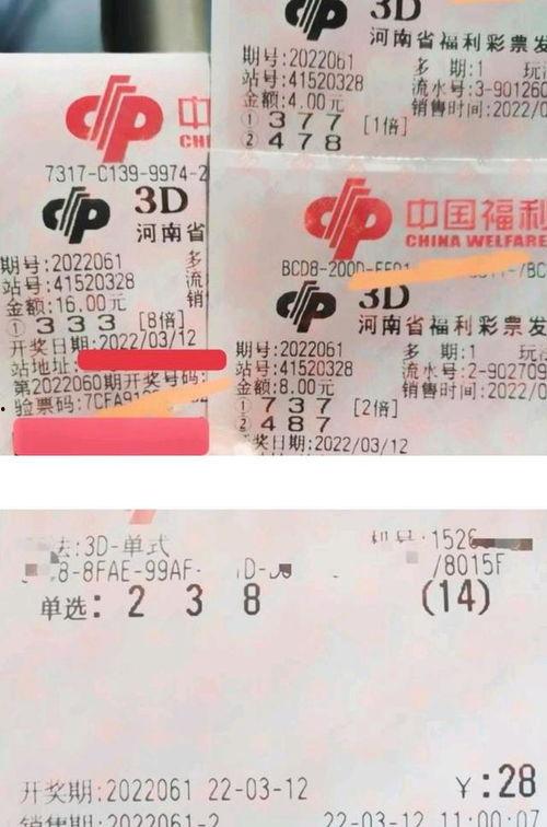 彩票3D真假,真假彩民如何辨别