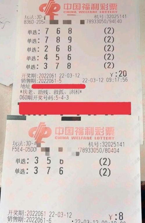 彩票3D真假,真假彩民如何辨别