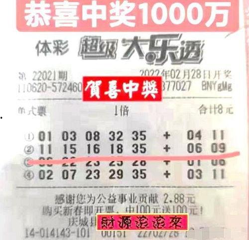 河南体彩大乐透开奖结果查询今天,惊喜大奖花落谁家？
