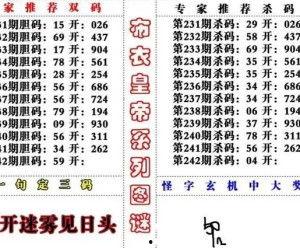 3d字谜过滤,3D字谜的趣味探索之旅