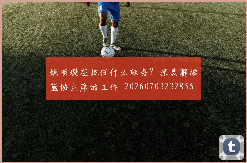 姚明现在担任什么职务?深度解读篮协主席的工作_20260703232856