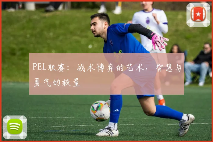 PEL联赛:战术博弈的艺术,智慧与勇气的较量