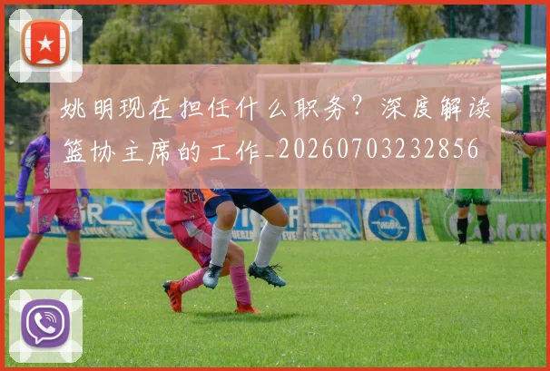 姚明现在担任什么职务?深度解读篮协主席的工作_20260703232856