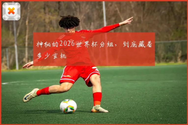 神秘的2026世界杯分组，到底藏着多少玄机